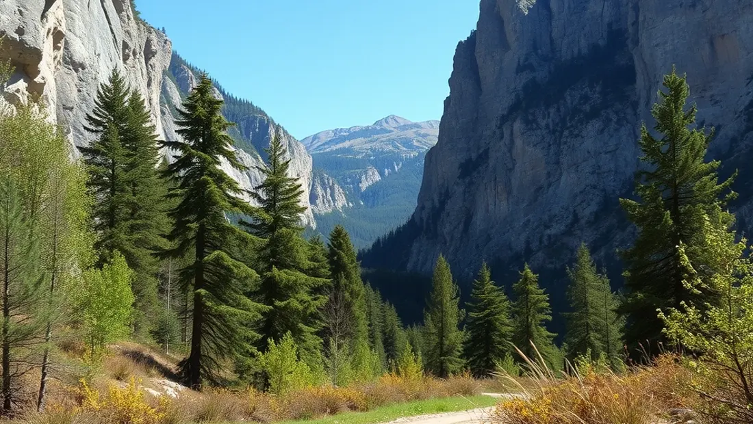 Panorama der Gadaunerer Schlucht mit Bäumen und Felsen